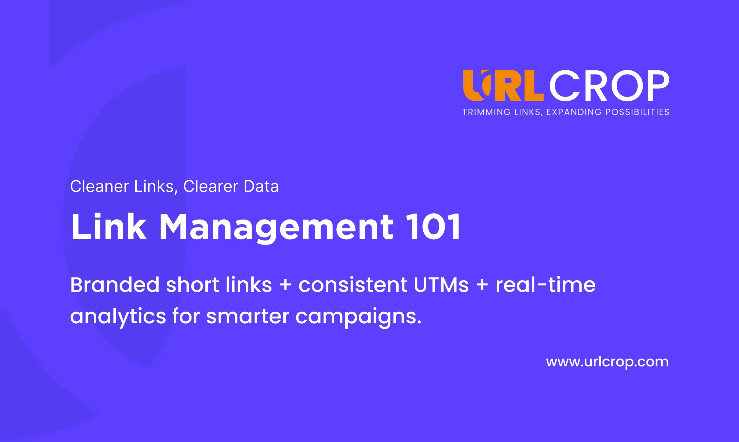 Link Management 101: What It Is and Why It Matters in 2025